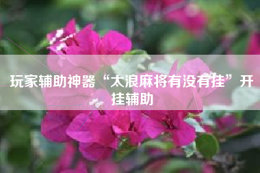 玩家辅助神器“太浪麻将有没有挂”开挂辅助