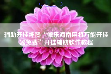 辅助开挂神器“微乐海南麻将万能开挂器免费	”开挂辅助软件教程