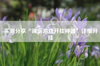 实测分享“微乐游戏开挂神器”详细开挂