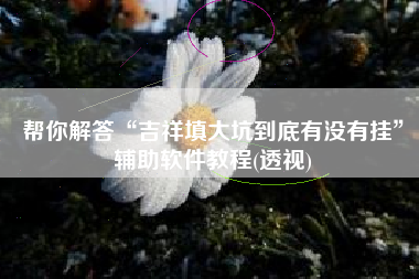 帮你解答“吉祥填大坑到底有没有挂	”辅助软件教程(透视)