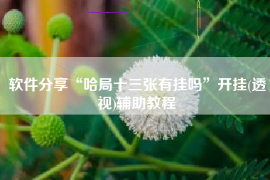 软件分享“哈局十三张有挂吗”开挂(透视)辅助教程