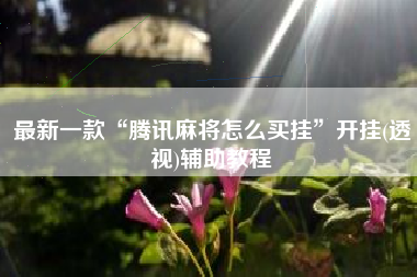 最新一款“腾讯麻将怎么买挂”开挂(透视)辅助教程