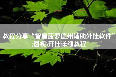教程分享“智星菠萝德州辅助外挂软件	”(透视)开挂详细教程