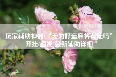 玩家辅助神器:“无为好运麻将有挂吗	”开挂(透视)最新辅助详细