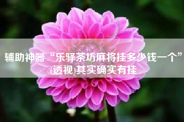 辅助神器“乐驿茶坊麻将挂多少钱一个”(透视)其实确实有挂