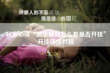 玩家必读“微乐麻将怎么看是否开挂”开挂详细教程