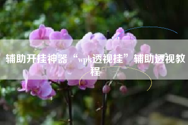 辅助开挂神器“wpk透视挂	”辅助透视教程