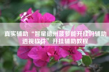 真实辅助“智星德州菠萝能开挂吗辅助透视软件”开挂辅助教程