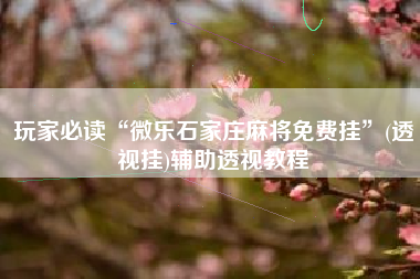 玩家必读“微乐石家庄麻将免费挂	”(透视挂)辅助透视教程