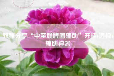 教程分享“中至赣牌圈辅助”开挂(透视)辅助神器
