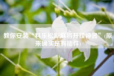 教你安装“科乐松原麻将开挂神器	”(原来确实是有插件)