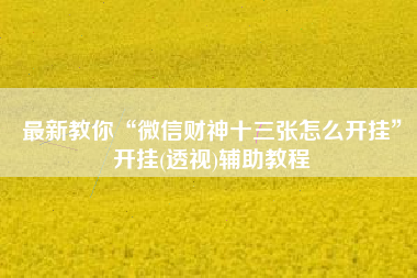 最新教你“微信财神十三张怎么开挂”开挂(透视)辅助教程