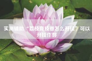 实测辅助“荔枝竞技要怎么开挂	”可以开挂作弊