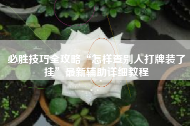 必胜技巧全攻略“怎样查别人打牌装了挂	”最新辅助详细教程