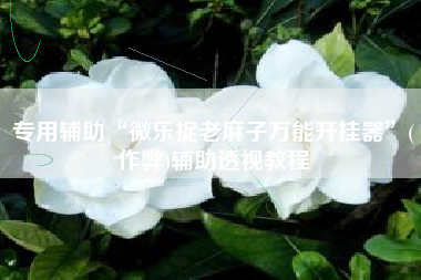 专用辅助“微乐捉老麻子万能开挂器”(作弊)辅助透视教程