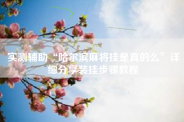 实测辅助“哈尔滨麻将挂是真的么”详细分享装挂步骤教程