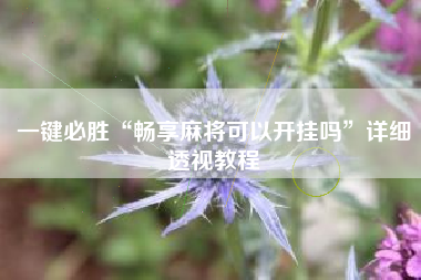 一键必胜“畅享麻将可以开挂吗”详细透视教程