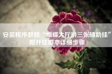 安装程序教程“蝴蝶大厅拼三张辅助挂”附开挂脚本详细步骤