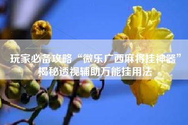 玩家必备攻略“微乐广西麻将挂神器”揭秘透视辅助万能挂用法