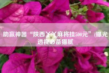 助赢神器“陕西丫丫麻将挂500元”(曝光透视必备猫腻