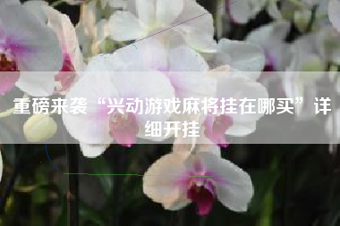 重磅来袭“兴动游戏麻将挂在哪买”详细开挂