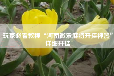 玩家必看教程“河南微乐麻将开挂神器	”详细开挂