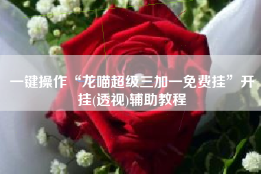 一键操作“龙喵超级三加一免费挂”开挂(透视)辅助教程