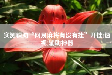 实测辅助“网易麻将有没有挂	”开挂(透视)辅助神器