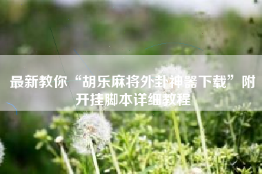 最新教你“胡乐麻将外卦神器下载	”附开挂脚本详细教程