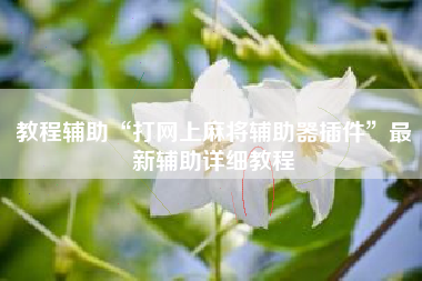 教程辅助“打网上麻将辅助器插件”最新辅助详细教程