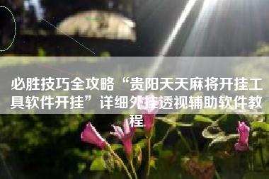 必胜技巧全攻略“贵阳天天麻将开挂工具软件开挂	”详细外挂透视辅助软件教程