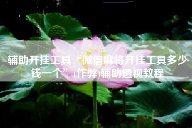 辅助开挂工具“微信麻将开挂工具多少钱一个”(作弊)辅助透视教程