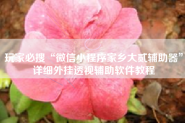 玩家必搜“微信小程序家乡大贰辅助器	”详细外挂透视辅助软件教程