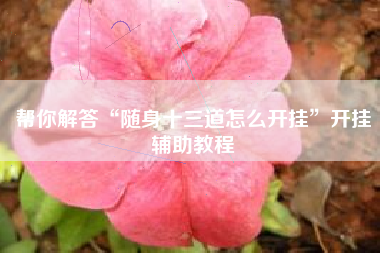 帮你解答“随身十三道怎么开挂”开挂辅助教程