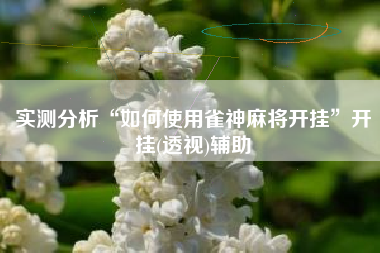 实测分析“如何使用雀神麻将开挂	”开挂(透视)辅助