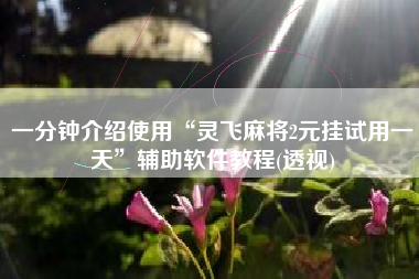 一分钟介绍使用“灵飞麻将2元挂试用一天”辅助软件教程(透视)