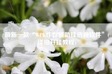 最新一款“WPK作弊辅助挂透视软件	”(详细开挂教程)