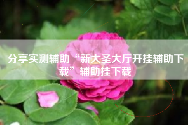 分享实测辅助“新大圣大厅开挂辅助下载”辅助挂下载