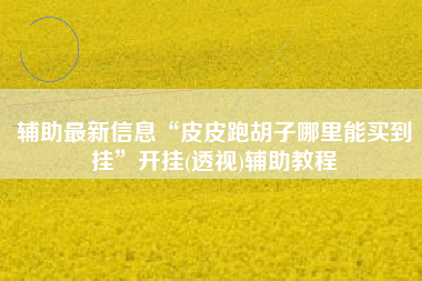 辅助最新信息“皮皮跑胡子哪里能买到挂”开挂(透视)辅助教程