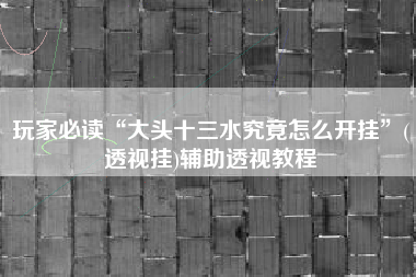 玩家必读“大头十三水究竟怎么开挂	”(透视挂)辅助透视教程