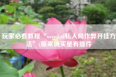 玩家必看教程“wepoker私人局作弊开挂方法	”(原来确实是有插件