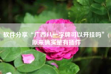 软件分享“广西八一字牌可以开挂吗”(原来确实是有插件