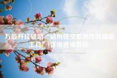 万能开挂辅助“德州悟空系统作弊辅助工具	”(详细透视教程)