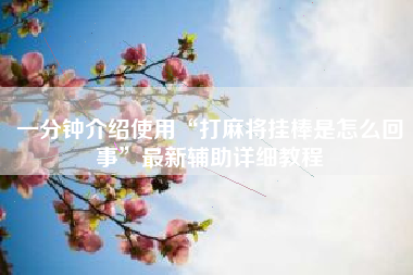 一分钟介绍使用“打麻将挂棒是怎么回事”最新辅助详细教程