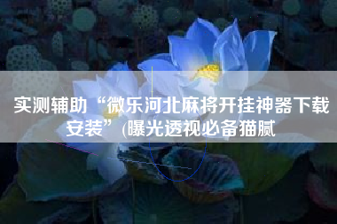 实测辅助“微乐河北麻将开挂神器下载安装”(曝光透视必备猫腻