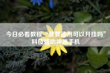 今日必看教程“菠萝德州可以开挂吗	”科技辅助神器手机