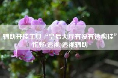 辅助开挂工具“皇后大厅有没有透视挂”作弊(透视)透视辅助