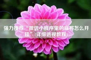 强力推荐“微信小程序里的麻将怎么开挂”(详细透视教程)