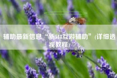 辅助最新信息“新518互游辅助	”(详细透视教程)