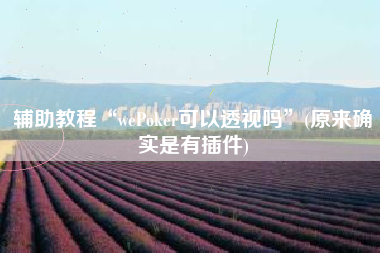 辅助教程“wePoker可以透视吗”(原来确实是有插件)